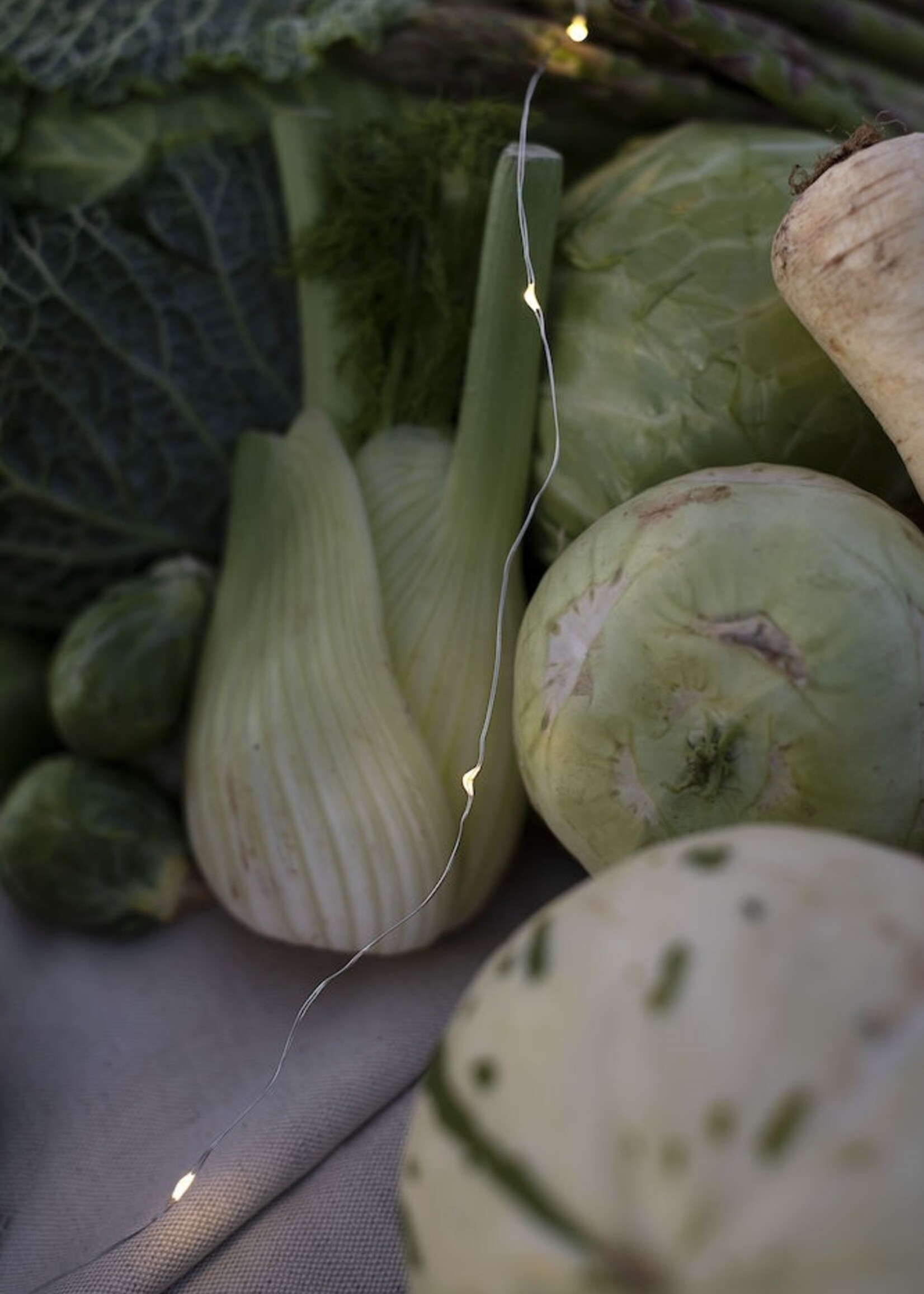 Konstsmide Konstsmide kerstverlichting - LED lichtsnoer met 100 zeer kleine warm witte lampjes voor buiten en binnen