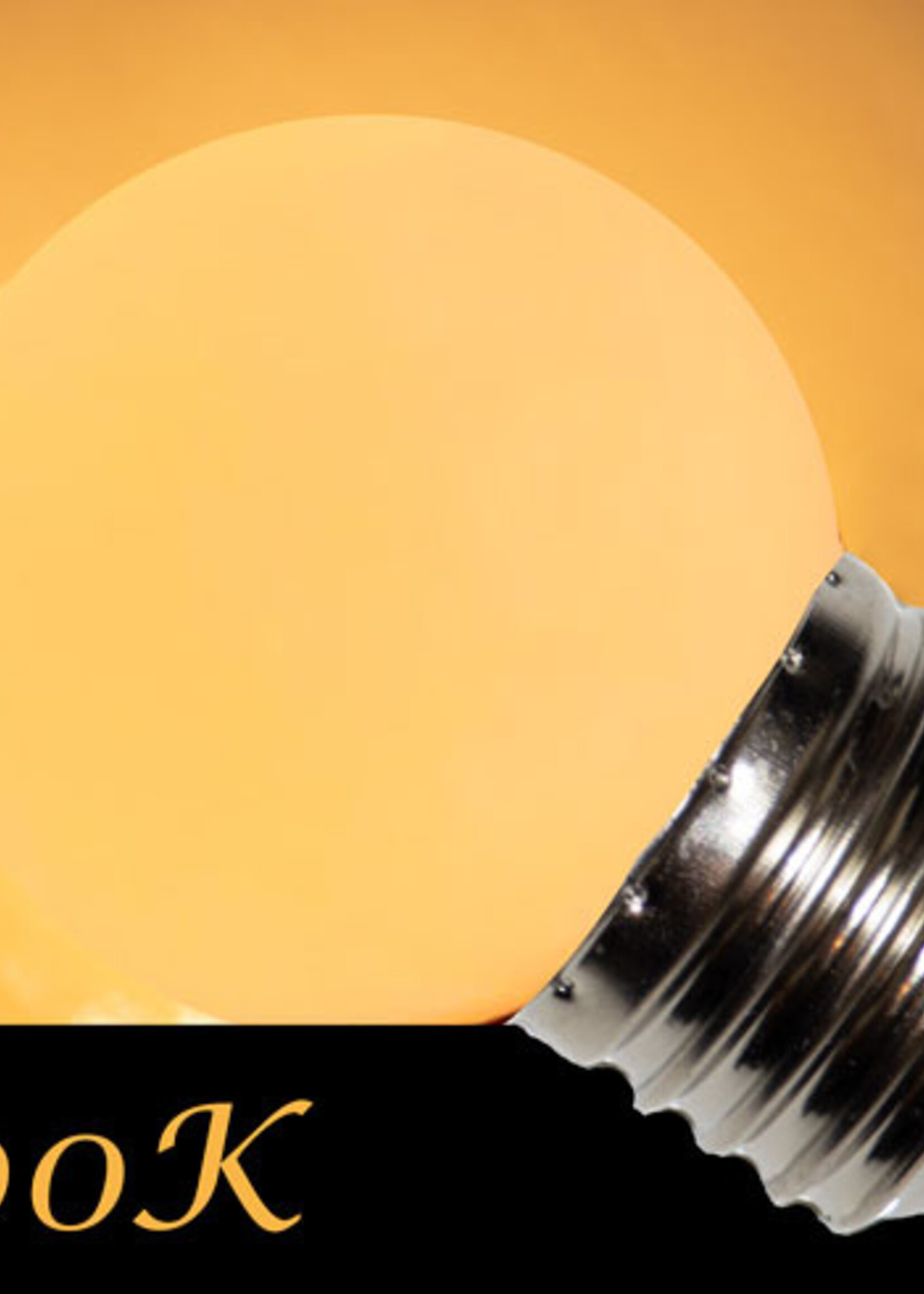 Amlux LED kogellamp 2W - matte kap - E27 extra warm wit - Dimbaar