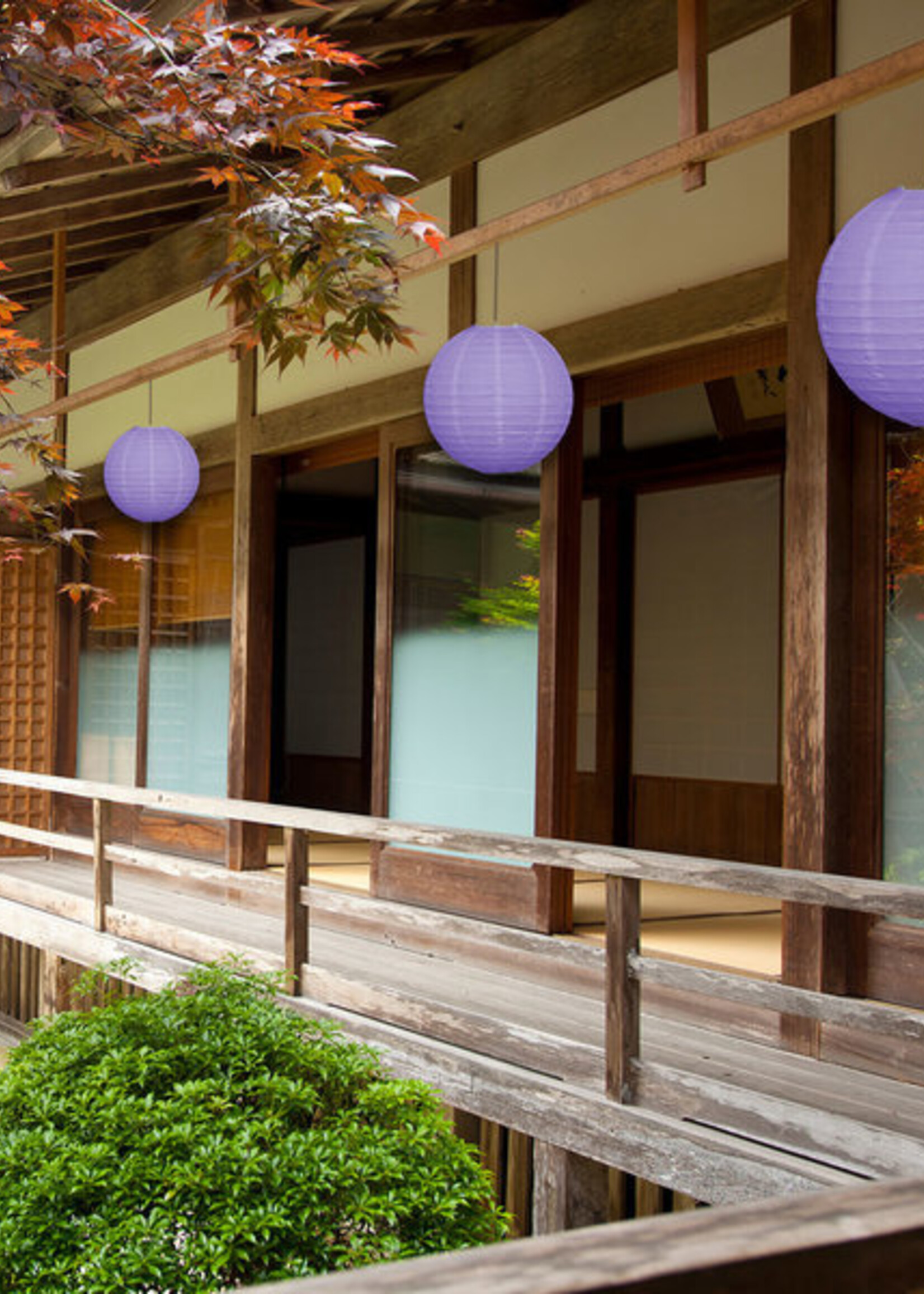 Paarse lampion voor buiten Ø25cm