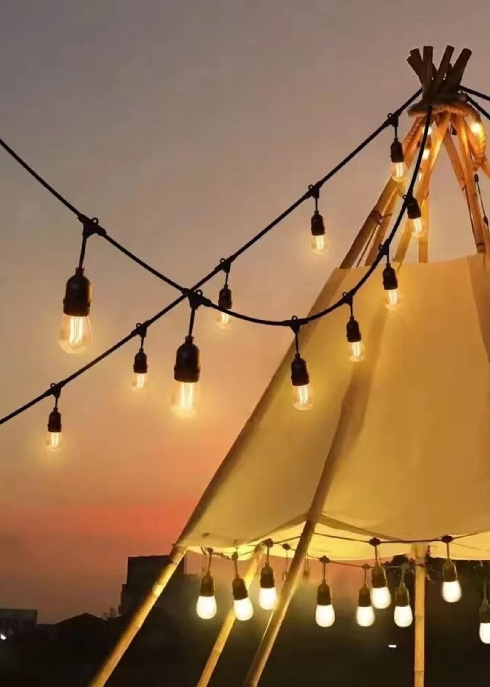 Amlux Lichtsnoer 10 meter met 20 LED lampen - 2200K