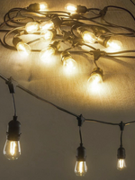 Amlux Lichtsnoer 10 meter met 10 LED lampen  - 2700K