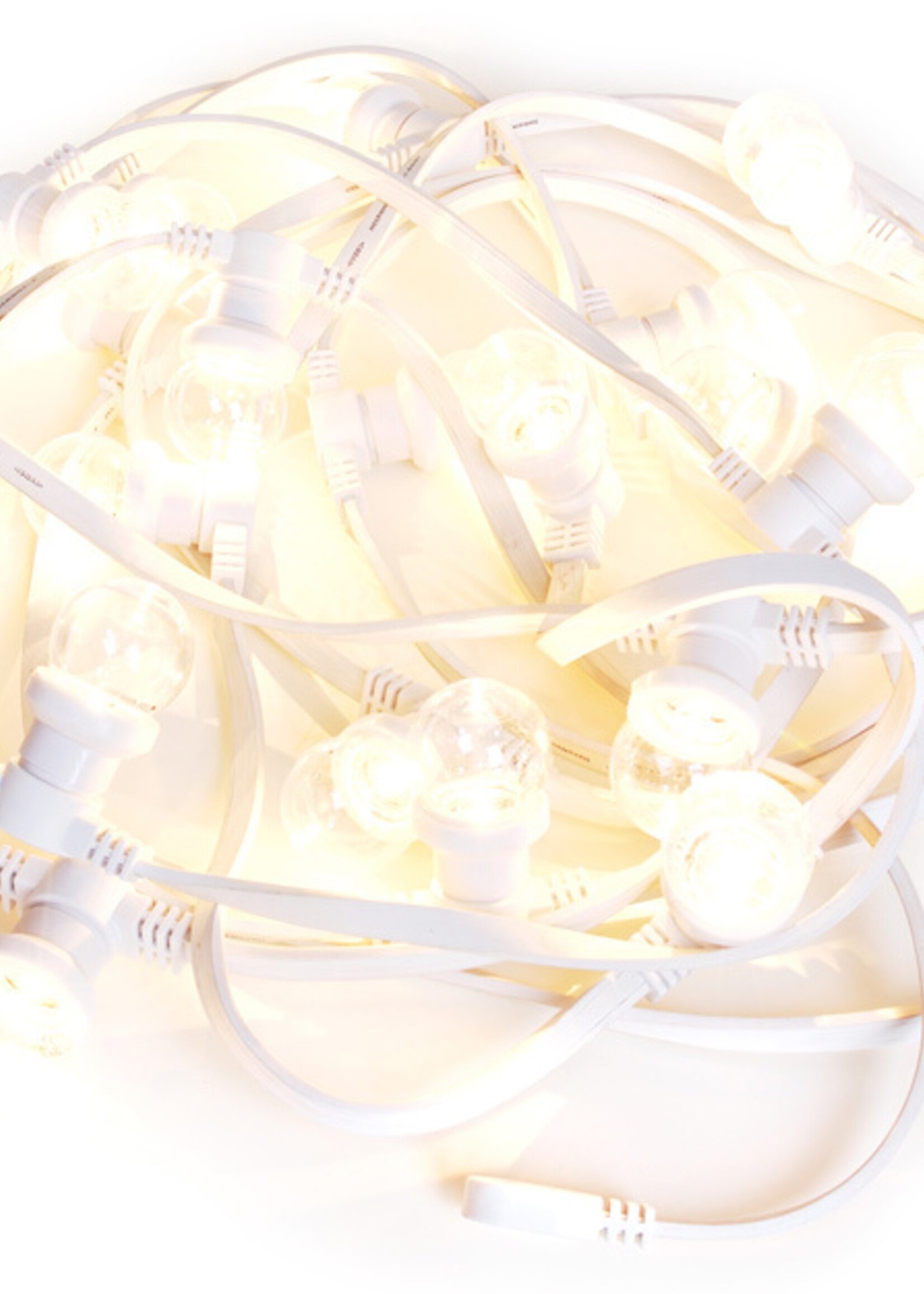 Witte prikkabel 10 meter met 20 witte LED lampen