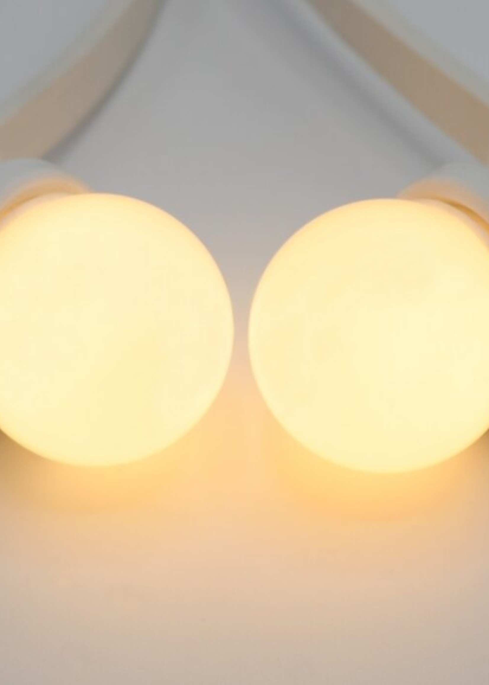 Witte prikkabel 10 meter met 20 witte LED lampen