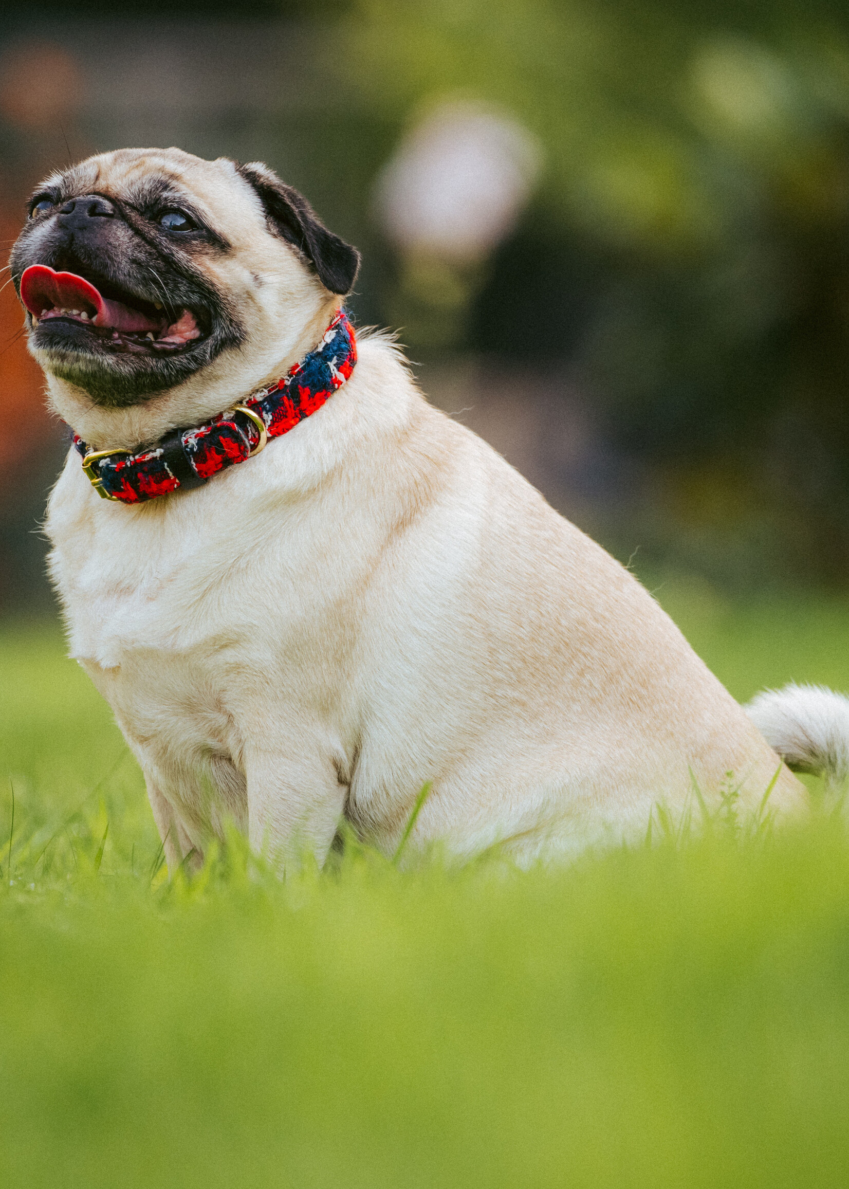 Merry Marie Balmain Fabric collar