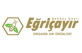 Egricayir