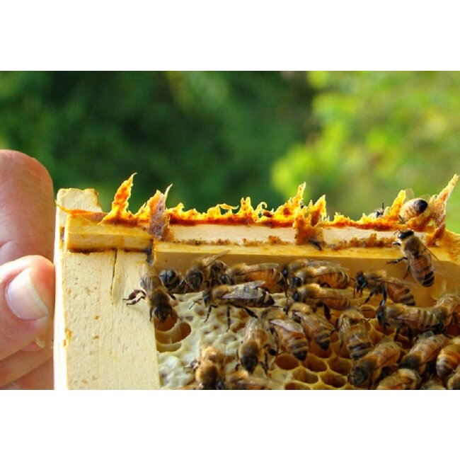 Biover Propolis Druppels 50 ml