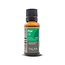 TALYA Talya Pine Oil 20 ml (100% natural pure essential oil)