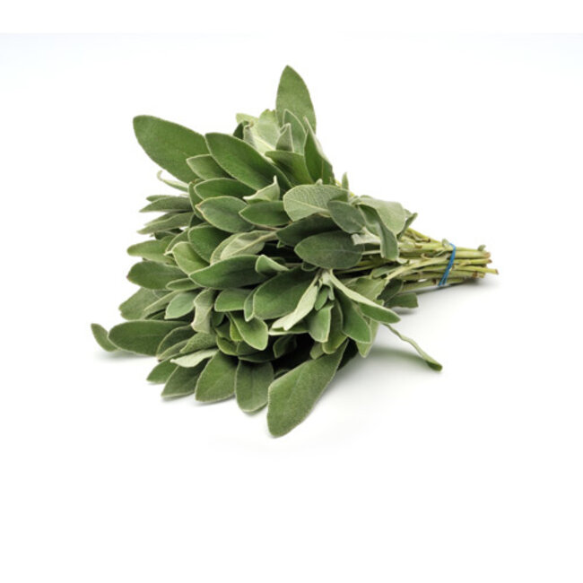 TALYA Salbeiöl Ätherisches Öl 20 ml