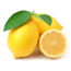 TALYA Lemon Essential Oil 20 ml