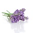 TALYA Lavendelolie 10 ml 100% Natuurlijke, Toevoegingsvrije Essentiële Olie