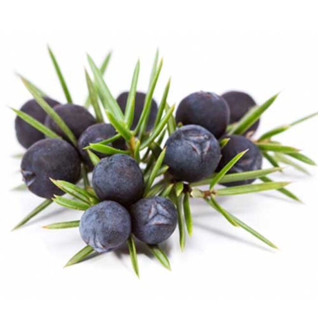 TALYA Talya Jeneverbes Olie 20 ml (100% natuurlijke pure etherische olie)