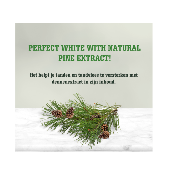 Eyup  Sabri Tuncer Eyüp Sabri Tuncer Doğal Çam Özlü Diş Macunu 90 ml