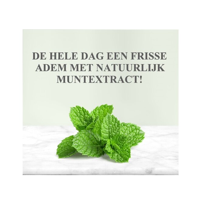 Eyup  Sabri Tuncer Natuurlijke Munt Extract Tandpasta 90 ml