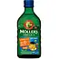 Mollers Omega-3 Levertraan Tutti Frutti  250 ml