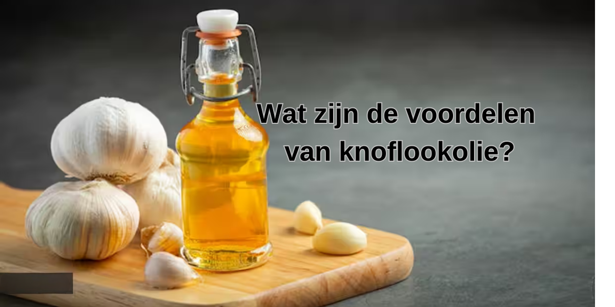 Wat is knoflookolie, hoe gebruik je het en wat zijn de voordelen?