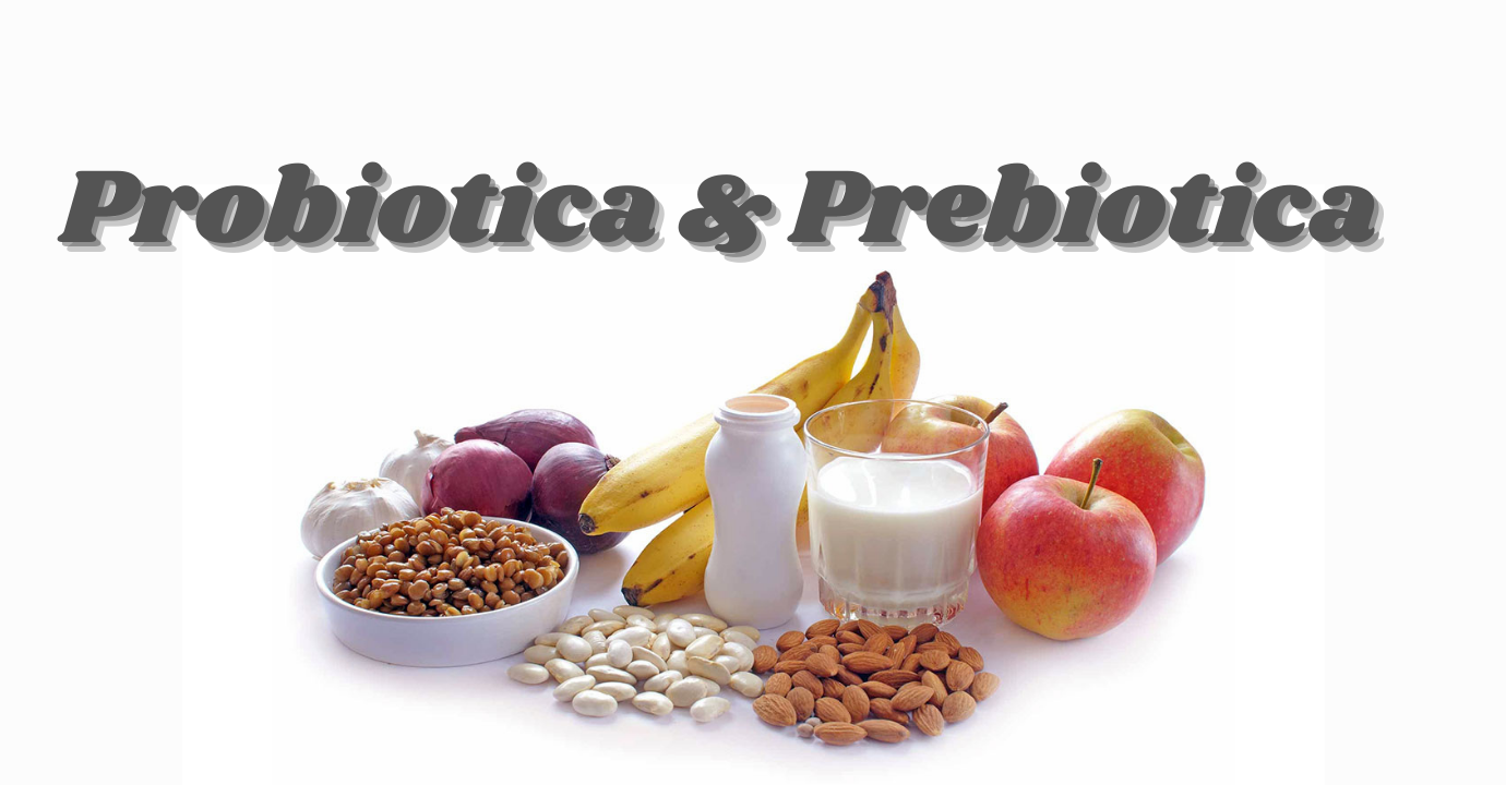 Probiotica en Prebiotica: voordelen en verschillen voor de darmgezondheid