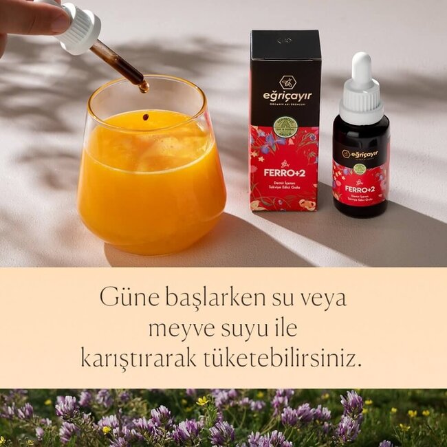 Egricayir Ferro+2 Complément en Fer 30 ml – Pour Enfants et Adultes