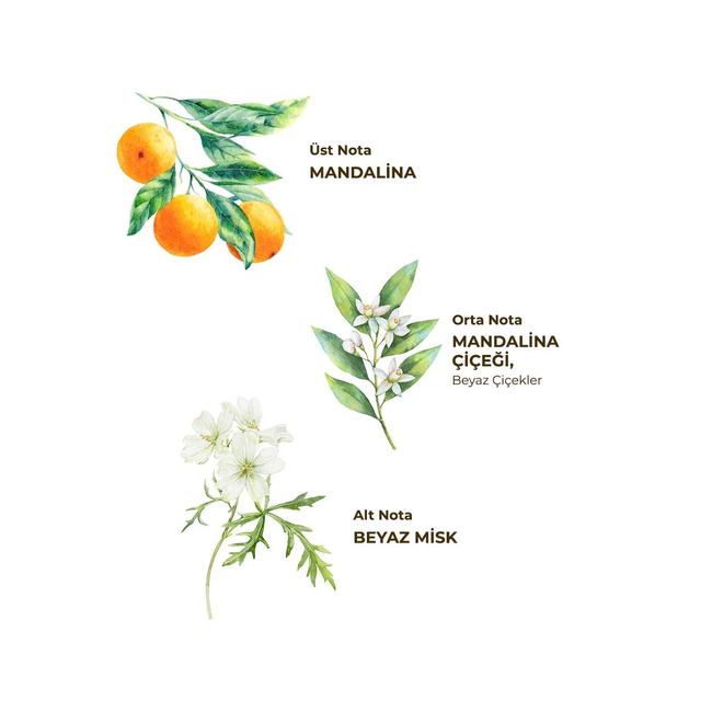 Eyup  Sabri Tuncer  Bodrum Mandarin Cologne 1L