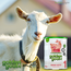Golden Goat Lait Infantile au Lait de Chèvre 400g – Nourrisson 0-6 Mois