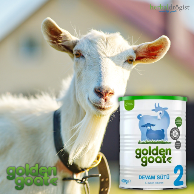 Golden Goat Geitenmelk Opvolgmelk 2 Nummer 400 gr (Voor Baby’s van 6 Maanden en Ouder)