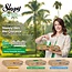 Sleepy Lingettes Nettoyantes Bio Easy Clean – Lot de 3