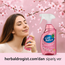Eyup  Sabri Tuncer  Room Spray Japanese Cherry Blossom 500 ml