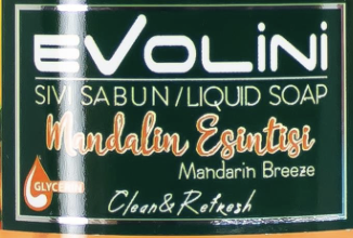 Evolini