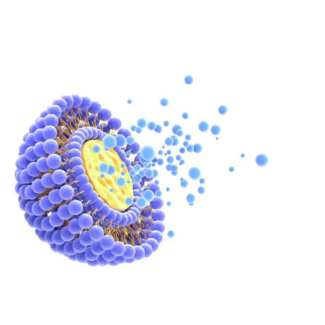 Mediniti Lipozomal Glutatyon 30 Kapsül – Hücresel Koruma ve Antioksidan Desteği İçin