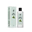 Rebul Green Tea Eau de Cologne 250 ml Cam Şişe – Taze Yeşil Çay Özleri – Unisex, Hafif ve Enerji Veren Ferah Koku – 80° Alkol