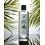 Rebul Green Tea Eau de Cologne 250 ml Botella de Vidrio – Esencia Pura de Té Verde – Aroma Unisex Ligero y Refrescante – 80° Alcohol