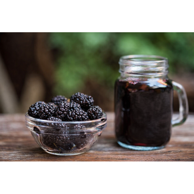 DR. Floya Black Mulberry Extract 700 ml – Natural Black Mulberry Concentrate