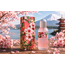 Eyup  Sabri Tuncer Japanse Kersenbloesem Cologne 16 ml Glazen Fles – Bloemige en Fruitige Frisse Geur