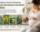 Avrupa'daki Türk Kadınlar Arasında Yaygın: Hamilelikte Dikkat Edilmesi Gereken 5 Bitki