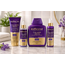 Bioxcin Set de Cuidado Capilar  Colágeno & Biotina – Champú 300 ml, Acondicionador sin Enjuague 100ml , Crema 250ml  y Suero 100ml