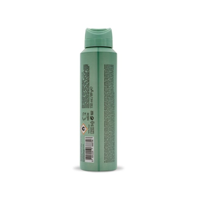 Rebul Pine Forest Deodorant Spray voor Mannen 150 ml | 48 Uur Bescherming | Alcoholvrije Antitranspirant
