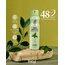 Rebul Green Tea Kadın Deodorant 150 ml | 48 Saat Koruma | Alkolsüz Antiperspirant