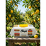 Sleepy Easy Clean Citron 100 Lingettes – Lingettes Humides Nettoyantes Multi-Surfaces, Extra Grandes & Extra Épaisses pour le Nettoyage Quotidien
