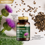 Nutraxin    Milk Thistle Deve Dikeni Ekstresi 200 mg – %80 Silimarin – 60 Tablet