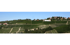 Gaja / Piemont, Barbaresco