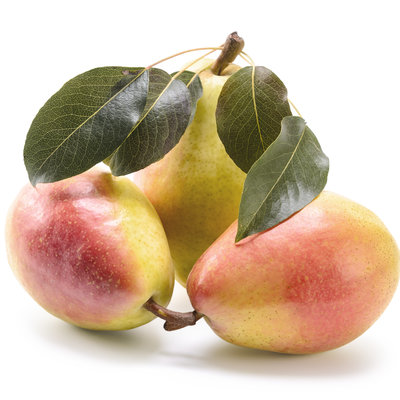 EDELBRAND / SCHNAPS / CALVADOS