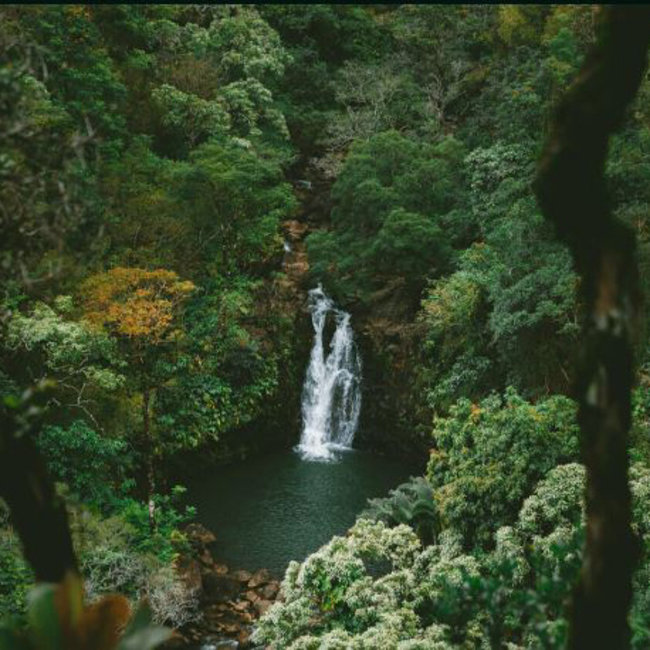 Gran Reserva 16 YO Rum 0.7 l 40% vol