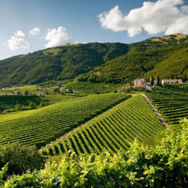 Mille Bolle Spumante Millesimato Extra Dry 0.75 l 11% vol