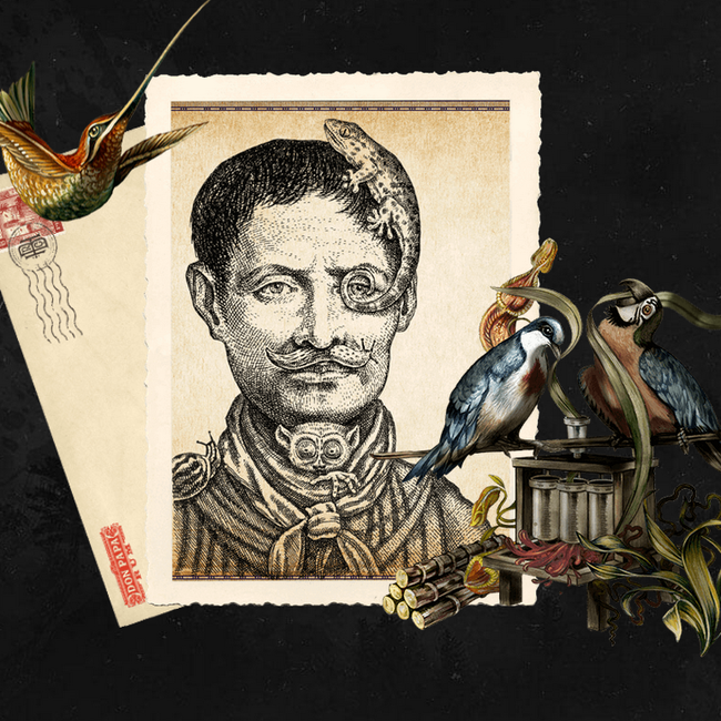 Don Papa Single Island Rum 0.7 l 40% vol