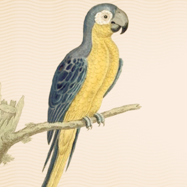 Barbados Rum Grande Reserve 5 Years 0.7 l 40% vol