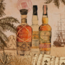Pineapple Artisanal Infusion Stiggin's Fancy 0.7 l 40% vol