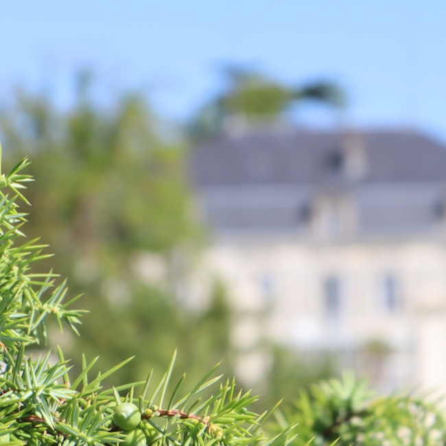 Citadelle Gin 0.7 l 44% vol