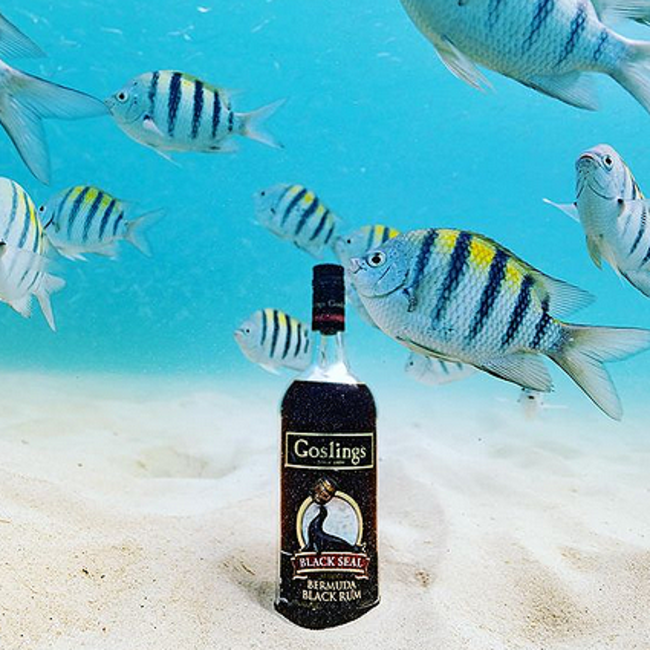 Black Seal Bermuda Black Rum 0.7 l 40% vol