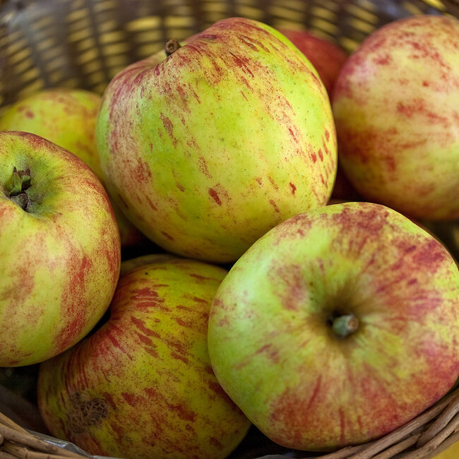 Grafensteiner Edelbrand 0.5 l 42% vol