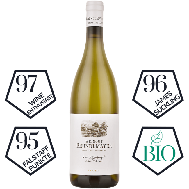 Grüner Veltliner Käferberg 1ÖTW Kamptal DAC 2019 0.75 l