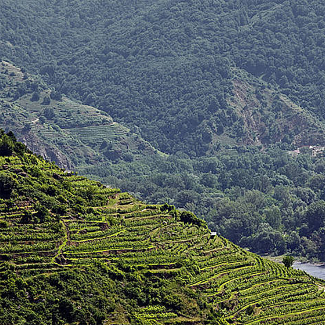 Riesling Smaragd Achleiten Wachau DAC 2020 0.75 l